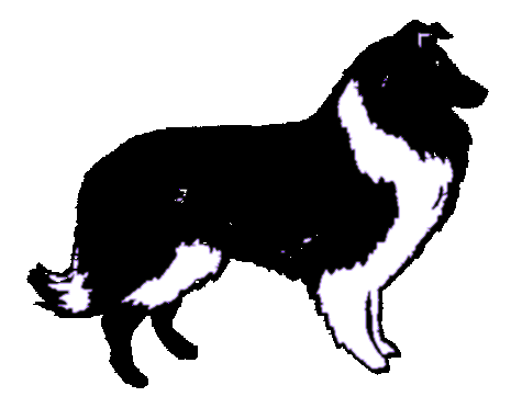 Collie Links